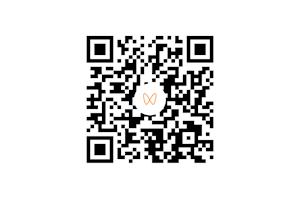 建设工程管理专业