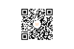 党纪学习教育系列微视频之九：严明政治纪律和政治规矩视频